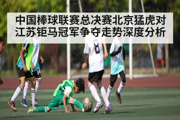 中国棒球联赛总决赛北京猛虎对江苏钜马冠军争夺走势深度分析